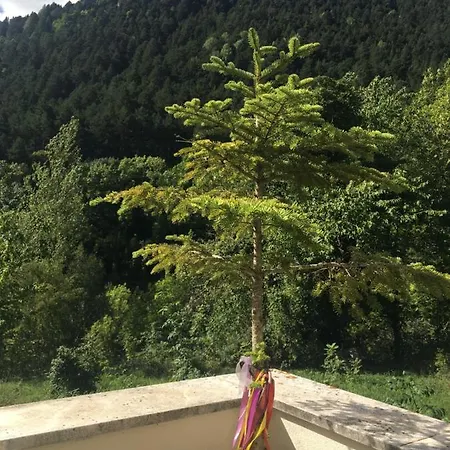 Apartament Bella Vista *